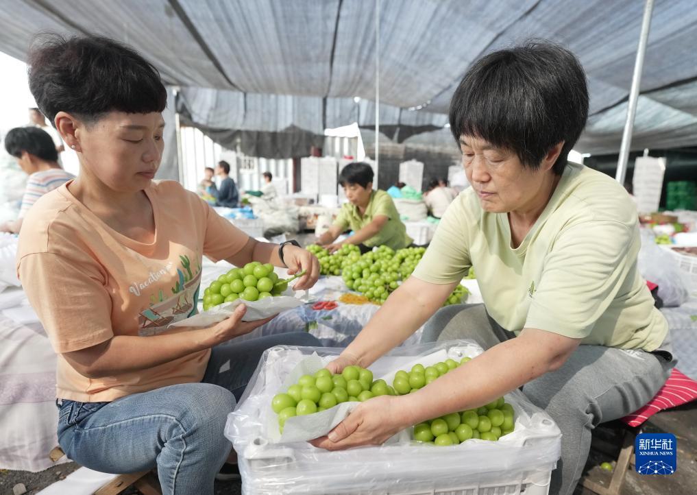 澳门24小时手机导航
